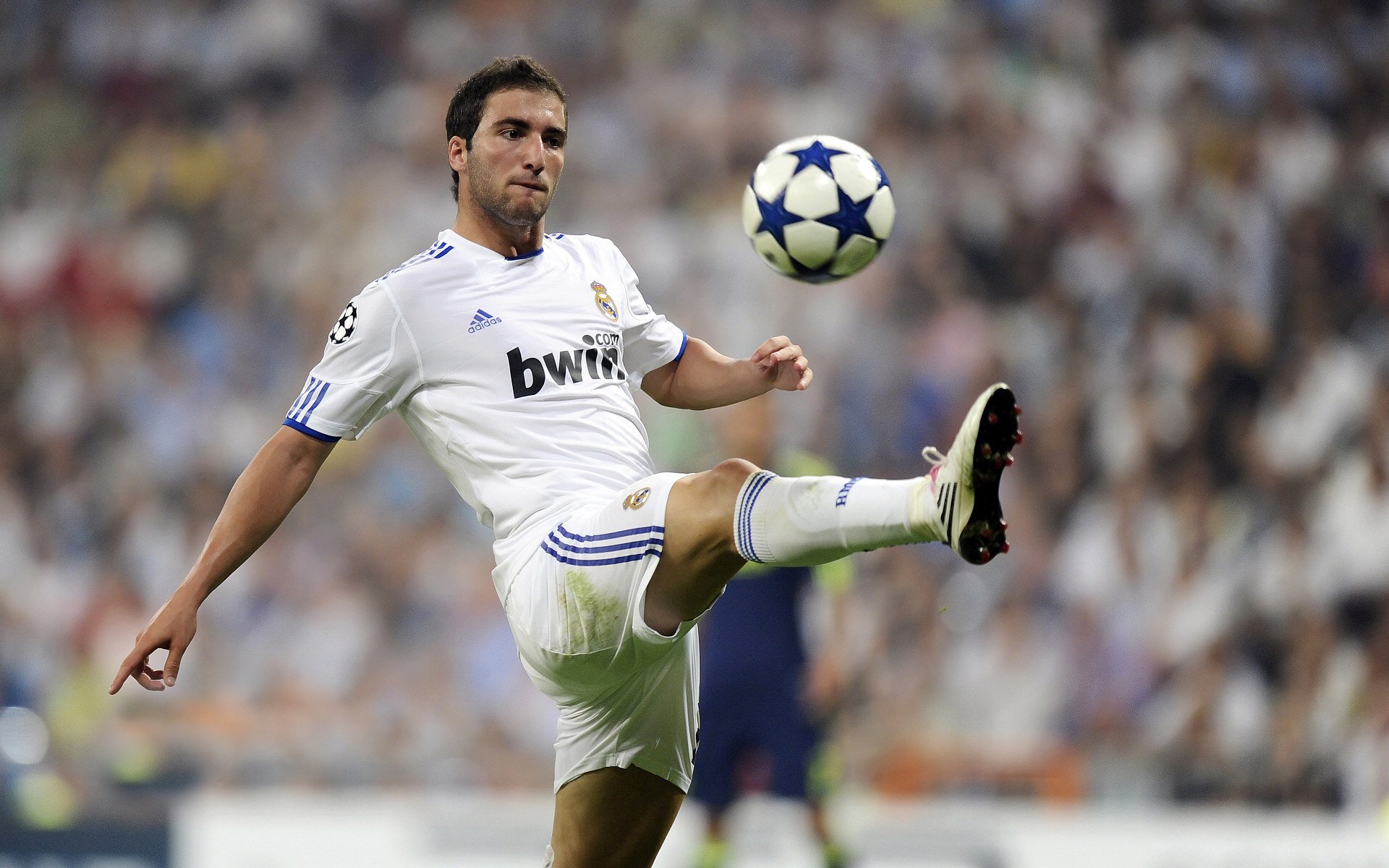 蛰伏后的锋芒，米切尔率黄蜂硬仗啄伤老鹰，诠释何为唯一性